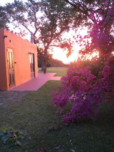Casa de Férias La Casona De San Pedro *